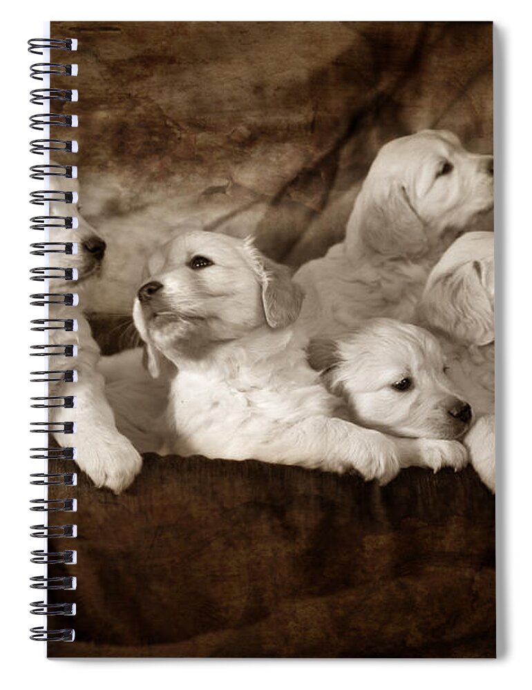 Dog Spiral Notebook featuring the photograph Vintage festive puppies #13 by Ang El