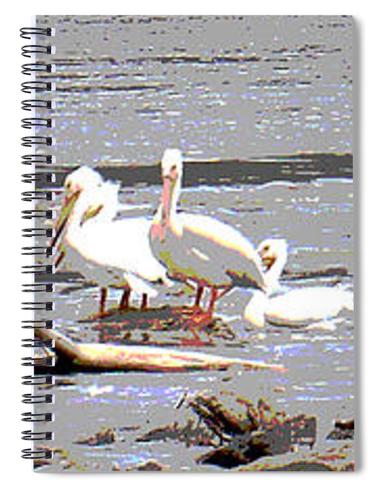 Pelicans Spiral Notebook featuring the photograph 14 Pelicans by Steve Karol