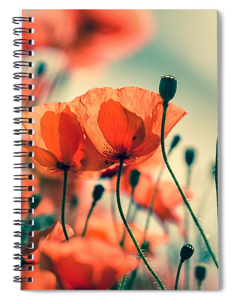 Poppy Spiral Notebook featuring the photograph Poppy Meadow by Nailia Schwarz
