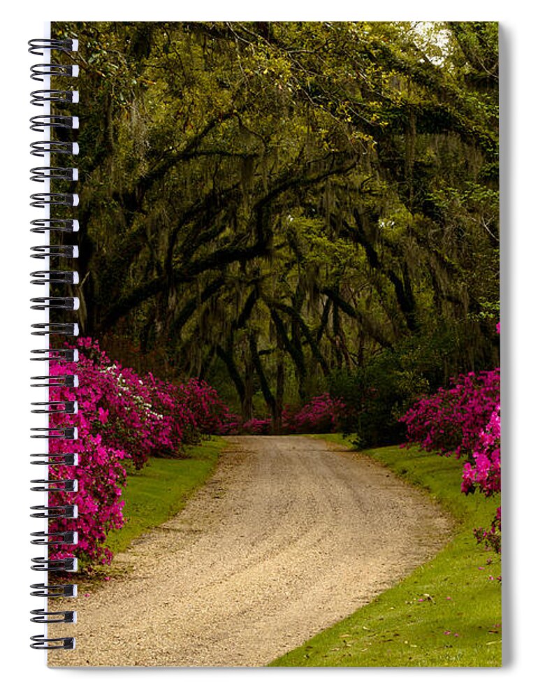 Afton Villa Spiral Notebook featuring the photograph Afton Villa Drive #2 by Susie Hoffpauir