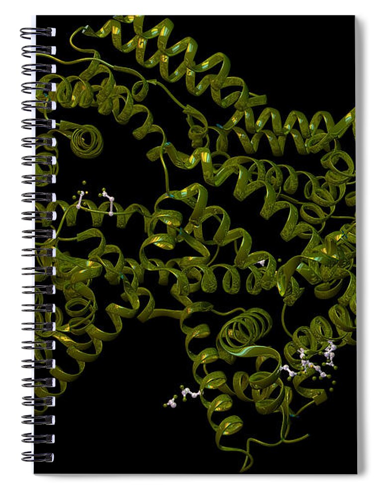 3-d Spiral Notebook featuring the photograph Bovine Serum Albumin, Illustration #2 by Ella Marus Studio
