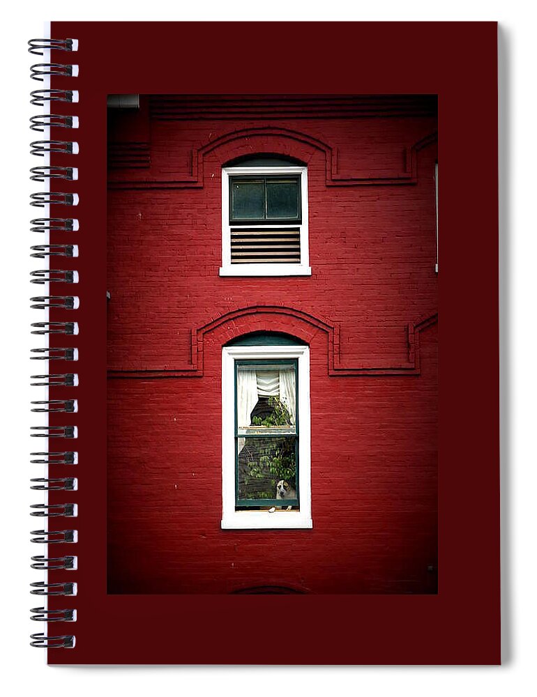 Dog Spiral Notebook featuring the photograph Doggie in the Window by Laurie Perry