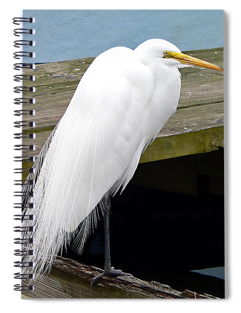 Egret Spiral Notebook featuring the photograph Elegant Egret #2 by Al Powell Photography USA