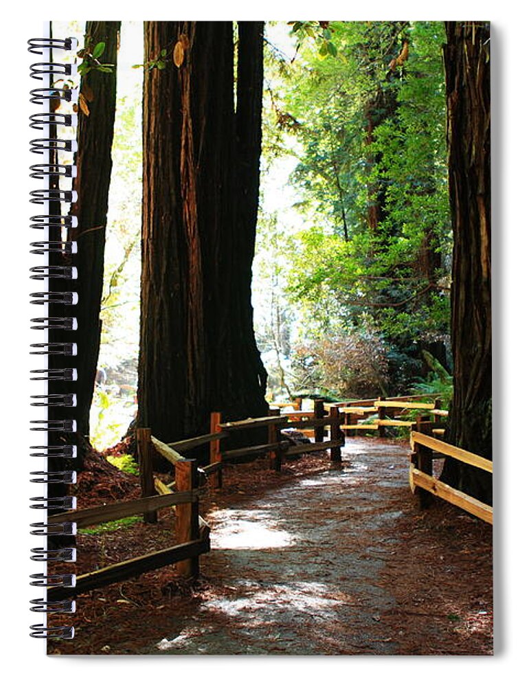 Usa Spiral Notebook featuring the photograph Giant Redwoods by Aidan Moran