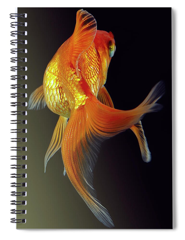 Animal Themes Spiral Notebook featuring the photograph Goldfish #2 by Mark Mawson