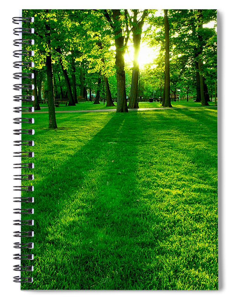 Park Spiral Notebook featuring the photograph Green park by Elena Elisseeva
