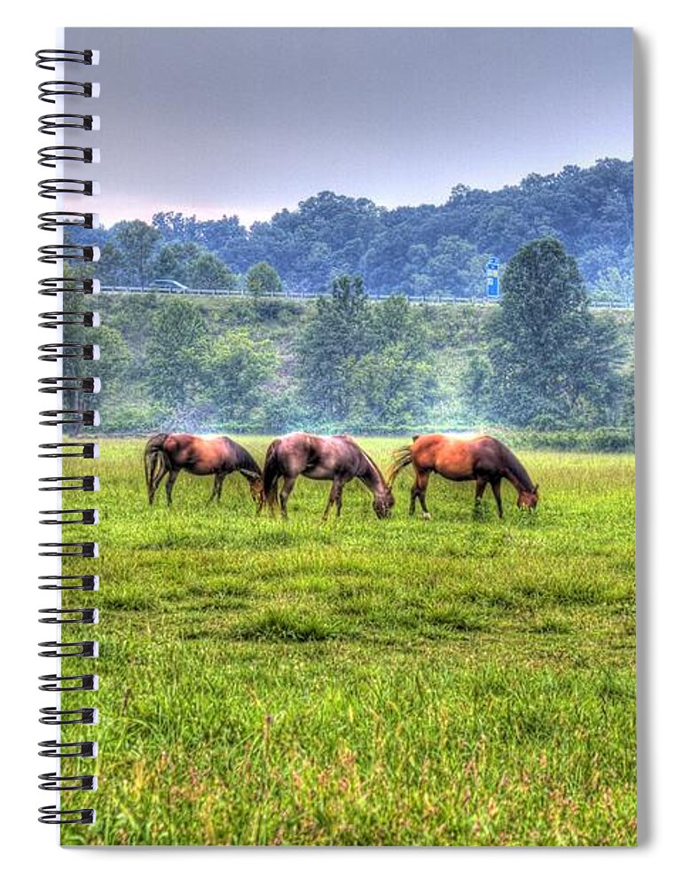 Horse Spiral Notebook featuring the photograph Horses in a field #2 by Jonny D