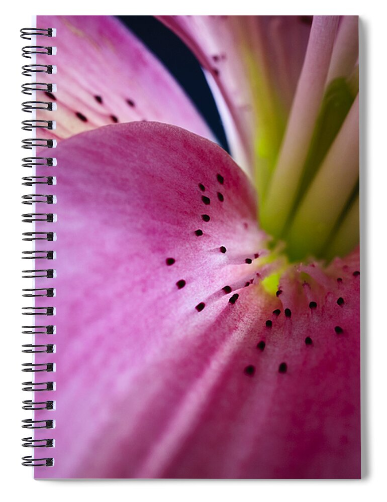 Botanical Spiral Notebook featuring the photograph In the Pink by Christi Kraft