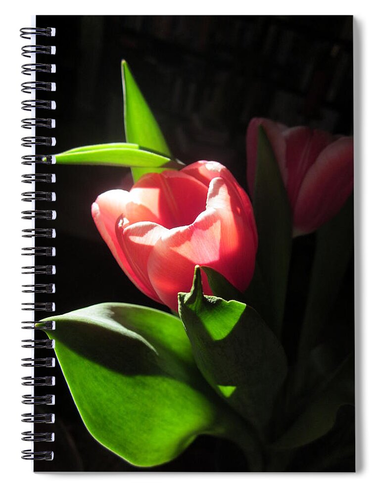 Flowers Spiral Notebook featuring the photograph Lonely #2 by Rosita Larsson