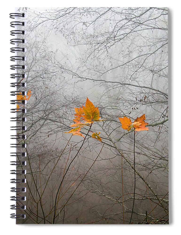 Shenandoa Spiral Notebook featuring the photograph Mountain Fog #2 by Farol Tomson