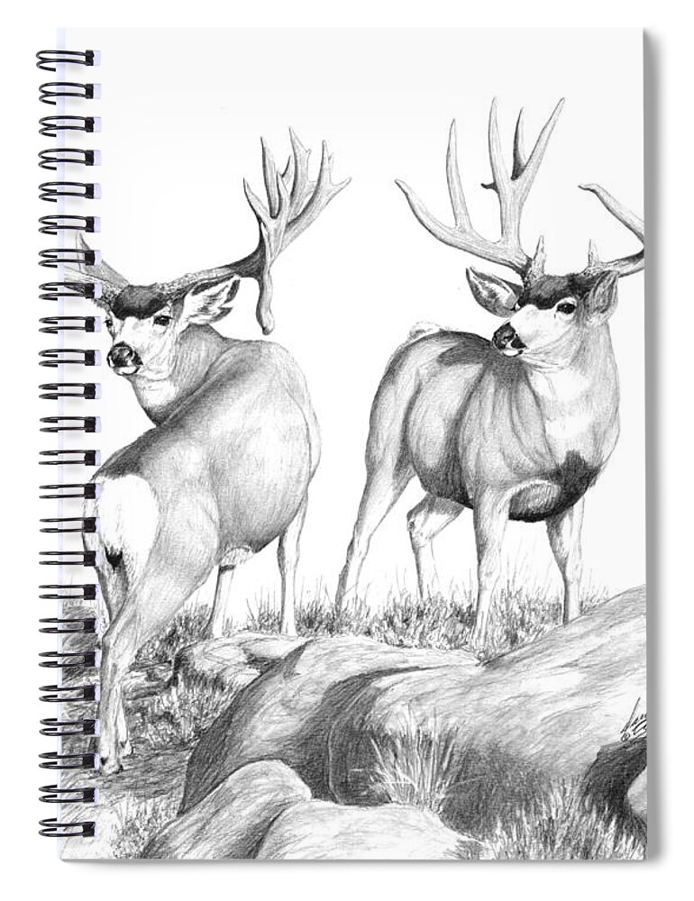 Mule Deer Spiral Notebook featuring the drawing 2 Muley Bucks by Darcy Tate