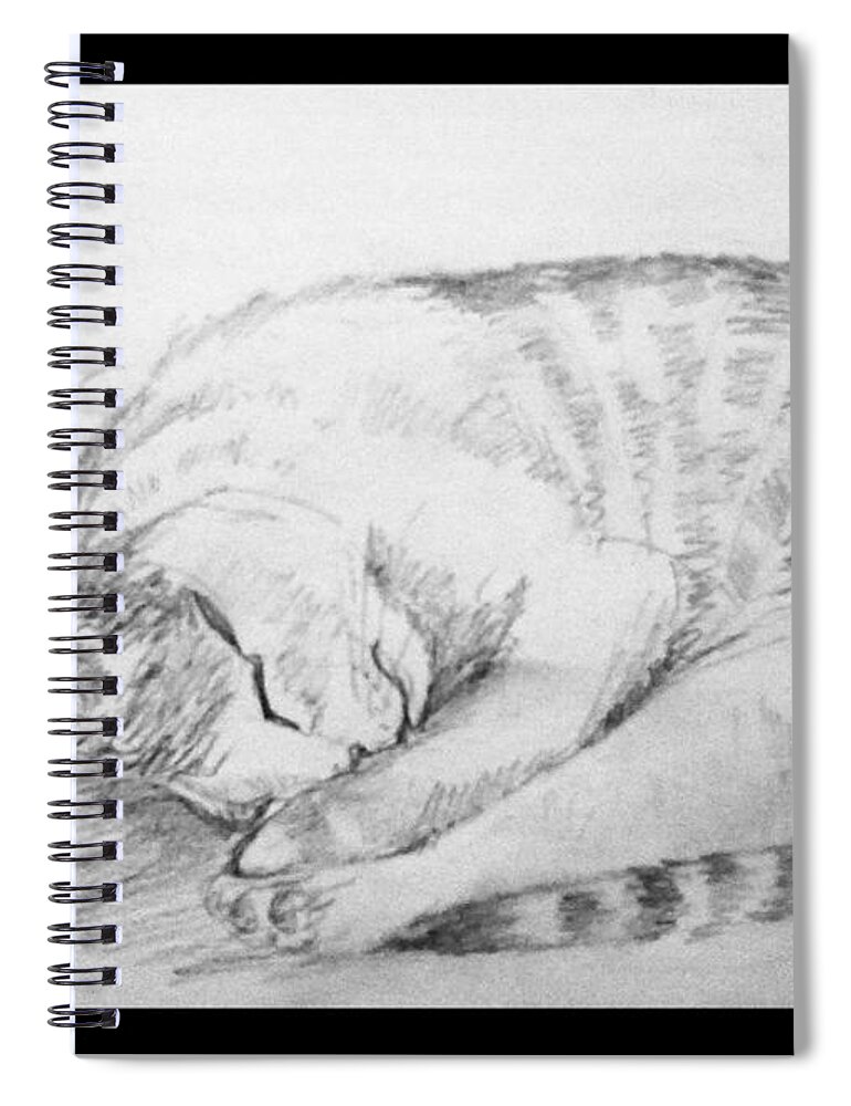 Pet Spiral Notebook featuring the drawing My pet cat #2 by Asha Sudhaker Shenoy