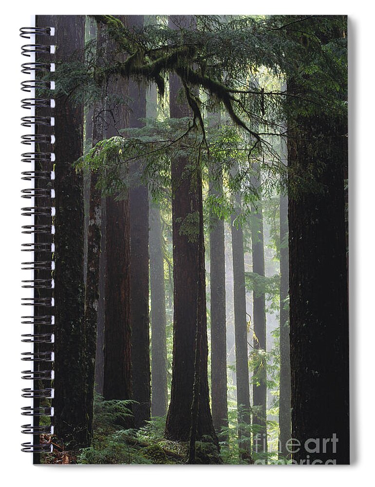 Outdoors Spiral Notebook featuring the photograph Olympic National Park #2 by Art Wolfe