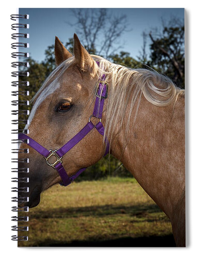 Animal Spiral Notebook featuring the photograph Palomino Quarter Horse #2 by Doug Long