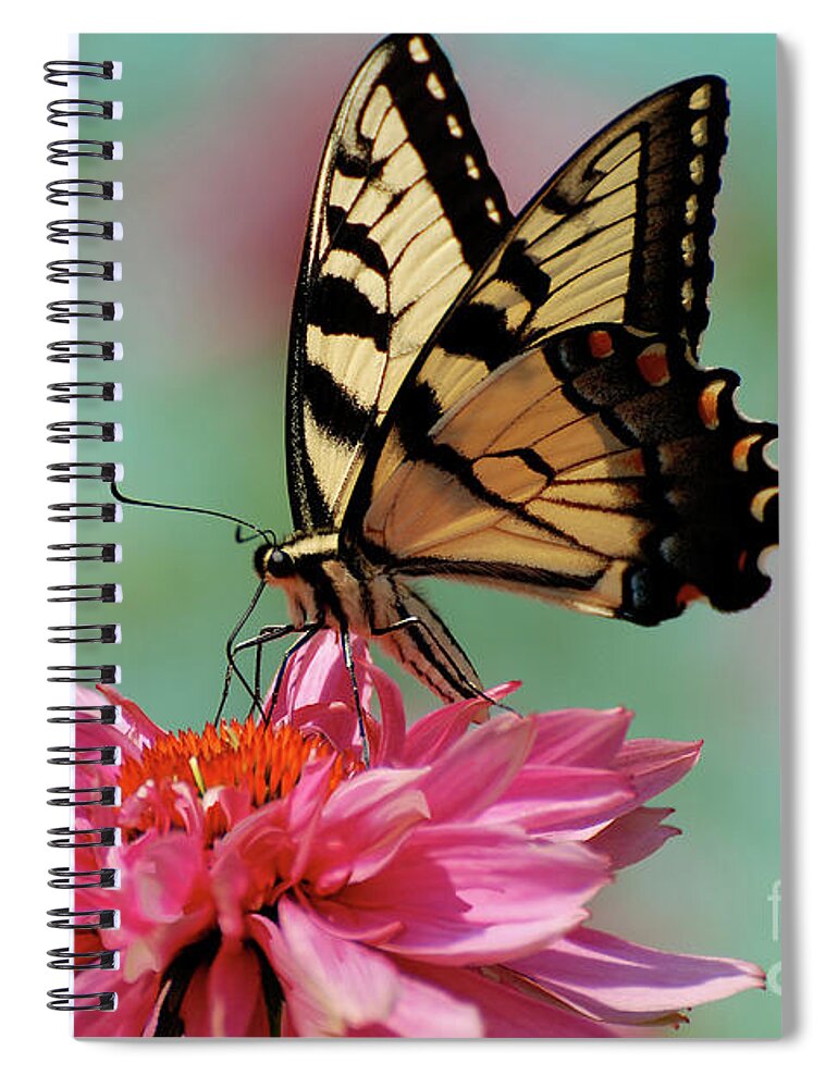 Butterfly Spiral Notebook featuring the photograph Pastel by Lois Bryan