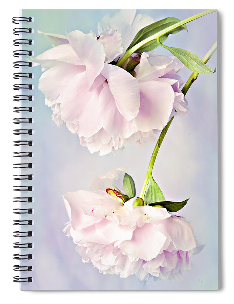 Peonies Spiral Notebook featuring the photograph Pastel Peonies by Theresa Tahara