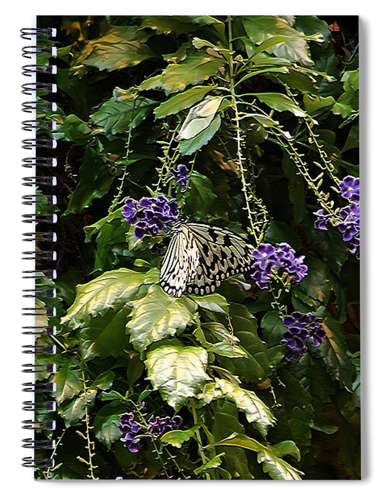 Butterfly Spiral Notebook featuring the photograph Purple Beauty #2 by Aimee L Maher ALM GALLERY