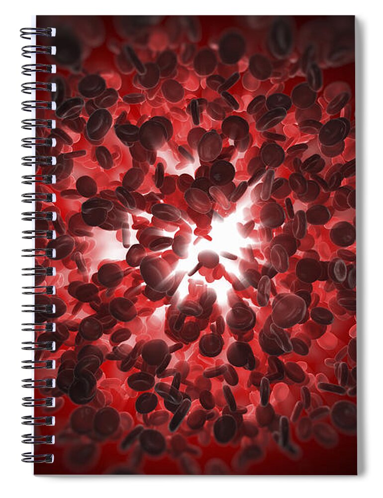 Blood Cells Spiral Notebook featuring the photograph Red Blood Cells #2 by Science Picture Co