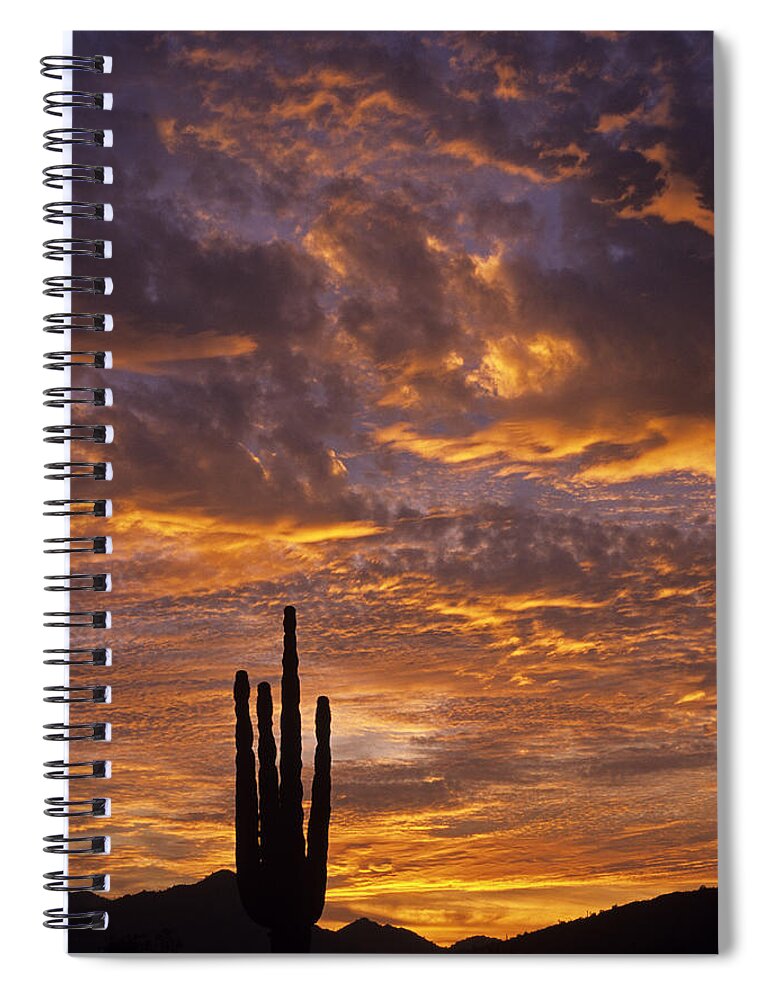 American Southwest Spiral Notebook featuring the photograph Silhouetted saguaro cactus sunset at dusk with dramatic clouds #2 by Jim Corwin