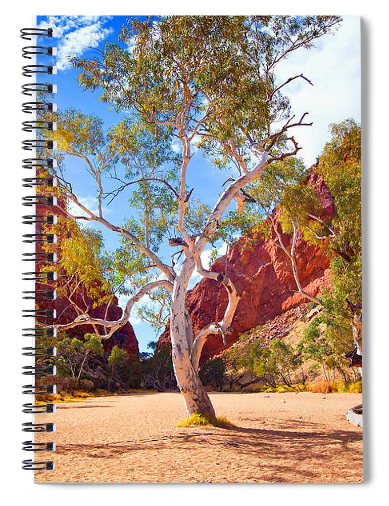 Outback Landscape Central Australia Australian Arid Spiral Notebook featuring the photograph Simpson's Gap #3 by Bill Robinson