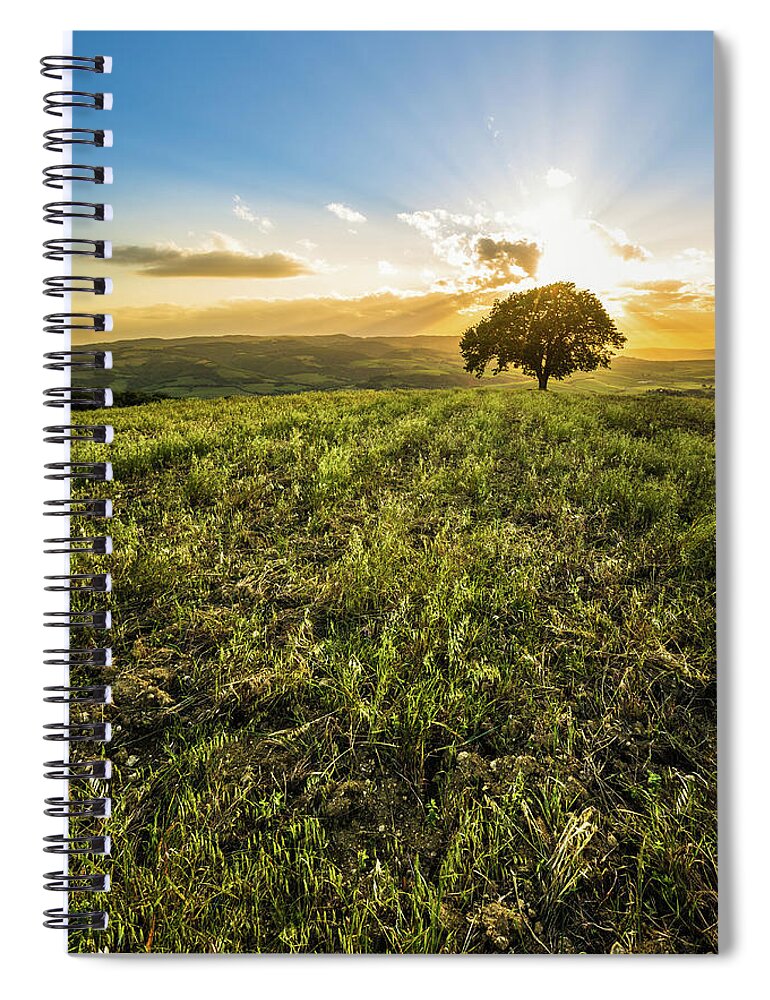 Scenics Spiral Notebook featuring the photograph Single Tree On The Tuscan Hills #2 by Deimagine