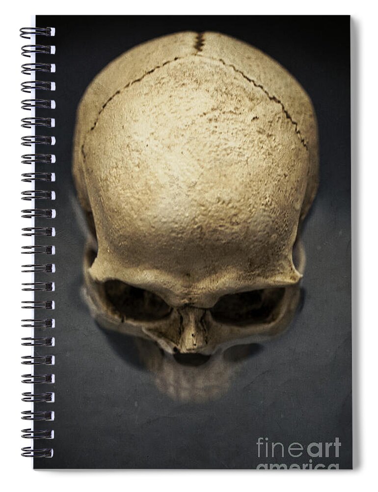Skull Spiral Notebook featuring the photograph Skull #1 by Edward Fielding