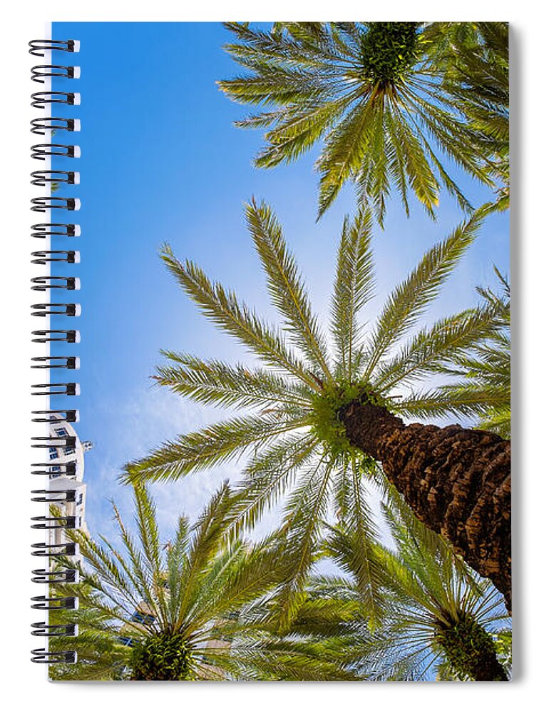 Architecture Spiral Notebook featuring the photograph Sobe Palms #2 by Raul Rodriguez