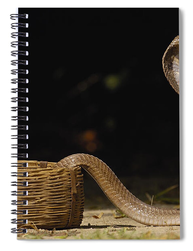 Feb0514 Spiral Notebook featuring the photograph Spectacled Cobra Gujarat India #2 by Pete Oxford