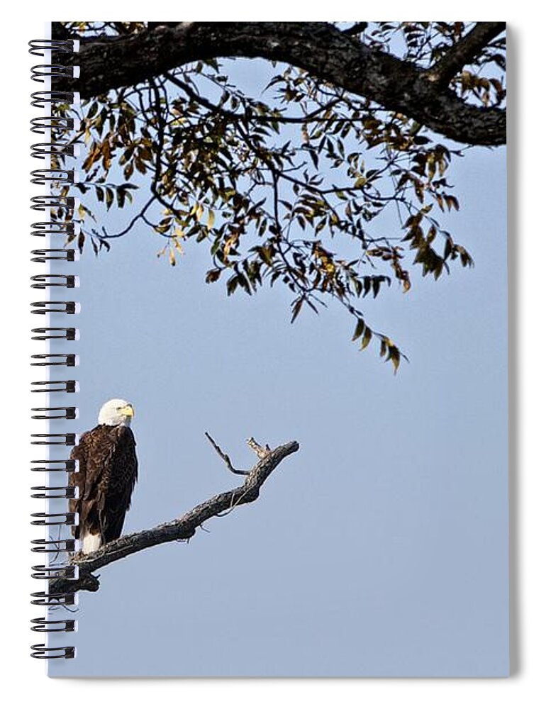 Bird Spiral Notebook featuring the photograph Standing Guard #2 by Dave Files