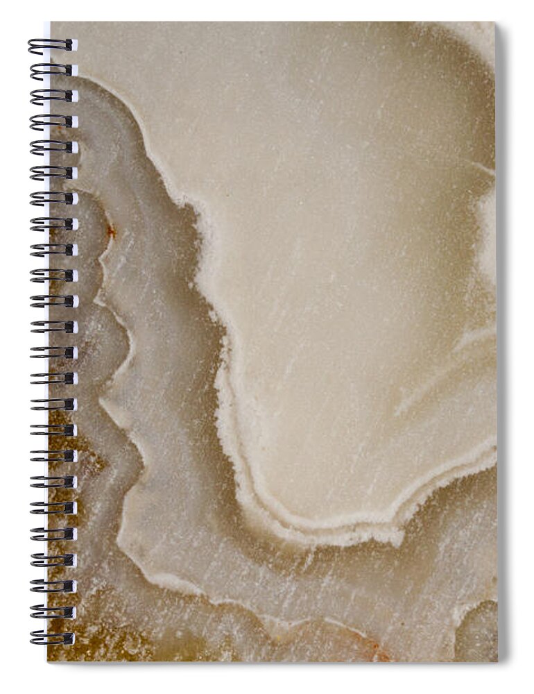 Design Spiral Notebook featuring the photograph Rock Star 6 by Jean Noren