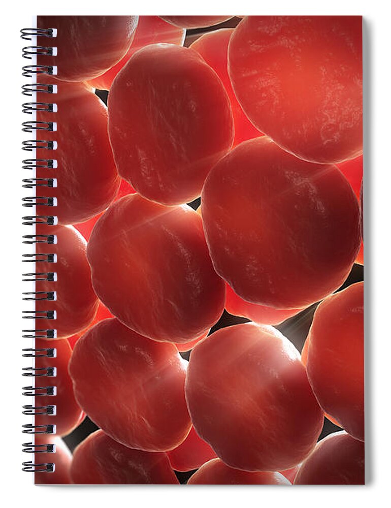 Erythrocytes Spiral Notebook featuring the photograph Red Blood Cells #23 by Science Picture Co