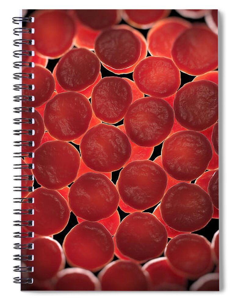 Cells Spiral Notebook featuring the photograph Red Blood Cells #29 by Science Picture Co