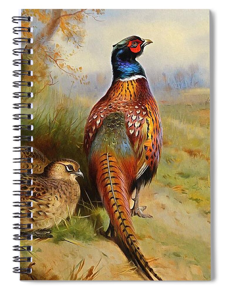 Archibald Thorburn Spiral Notebook featuring the painting Pheasant At The Edge Of The Wood by Archibald Thorburn