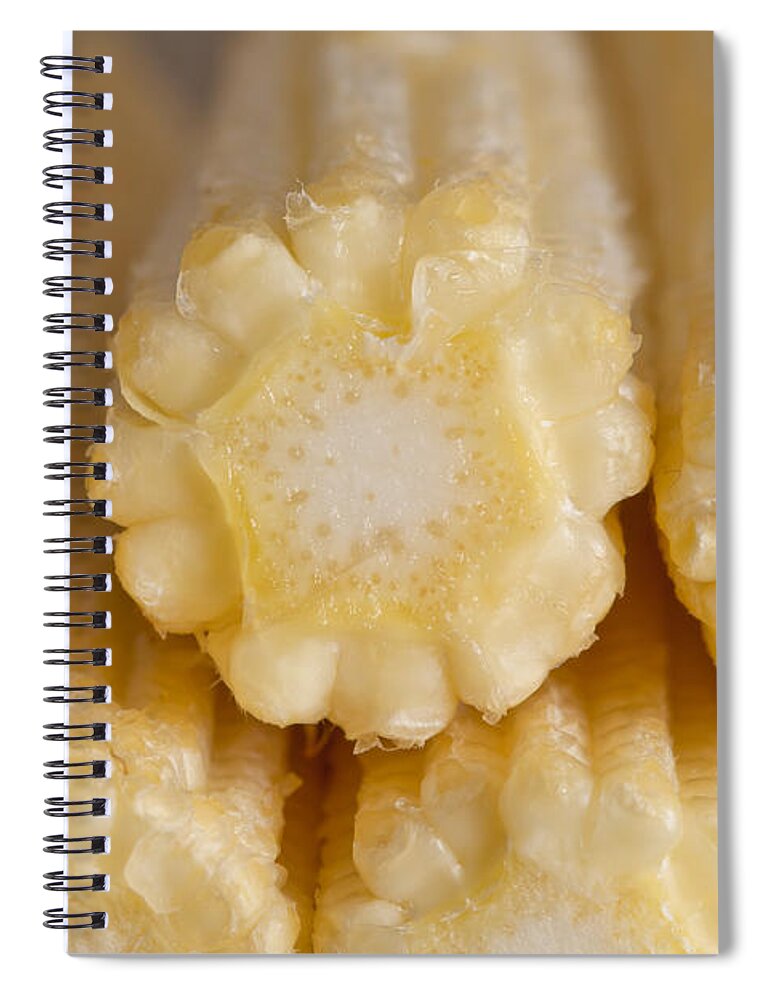Agriculture Spiral Notebook featuring the photograph Babycorn #3 by Tom Gowanlock