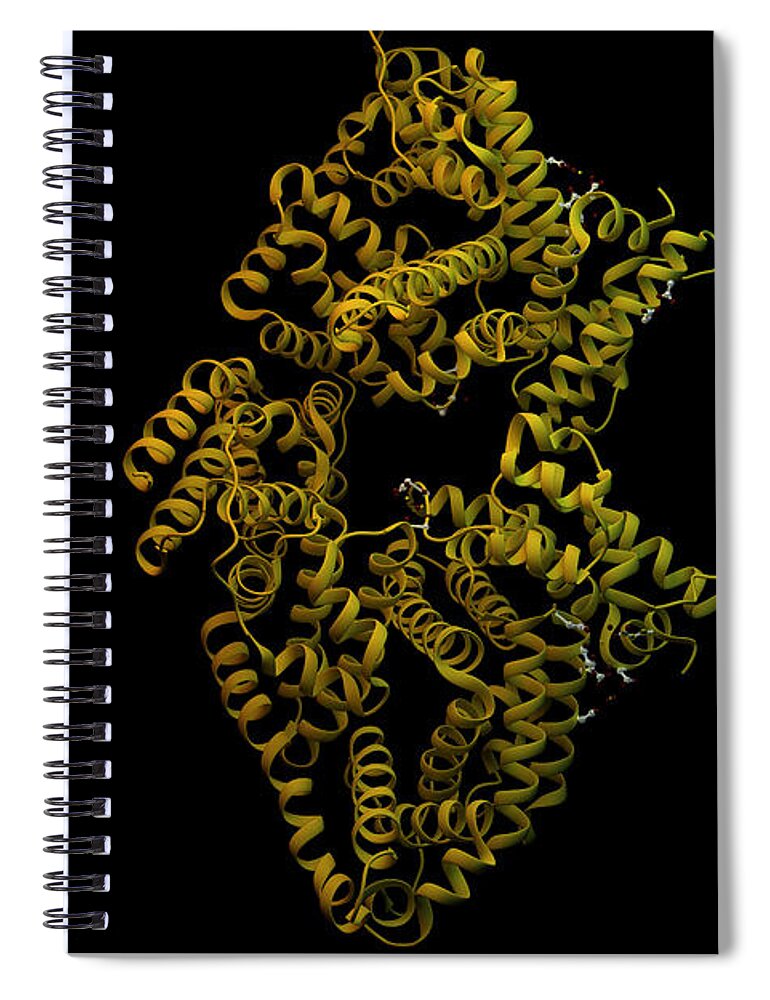 3-d Spiral Notebook featuring the photograph Bovine Serum Albumin, Illustration #3 by Ella Marus Studio