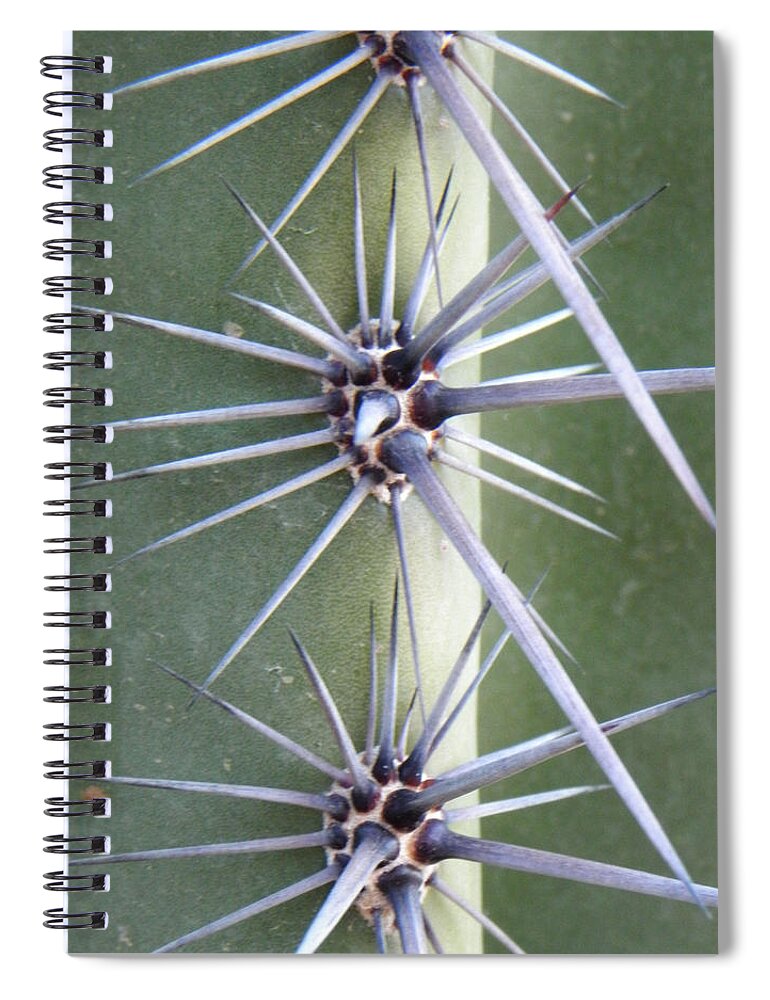 Cactus Spiral Notebook featuring the photograph Cactus Thorns #3 by Deb Halloran