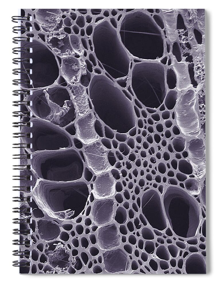 Charcoal Spiral Notebook featuring the photograph Charcoal, Sem #3 by Scimat