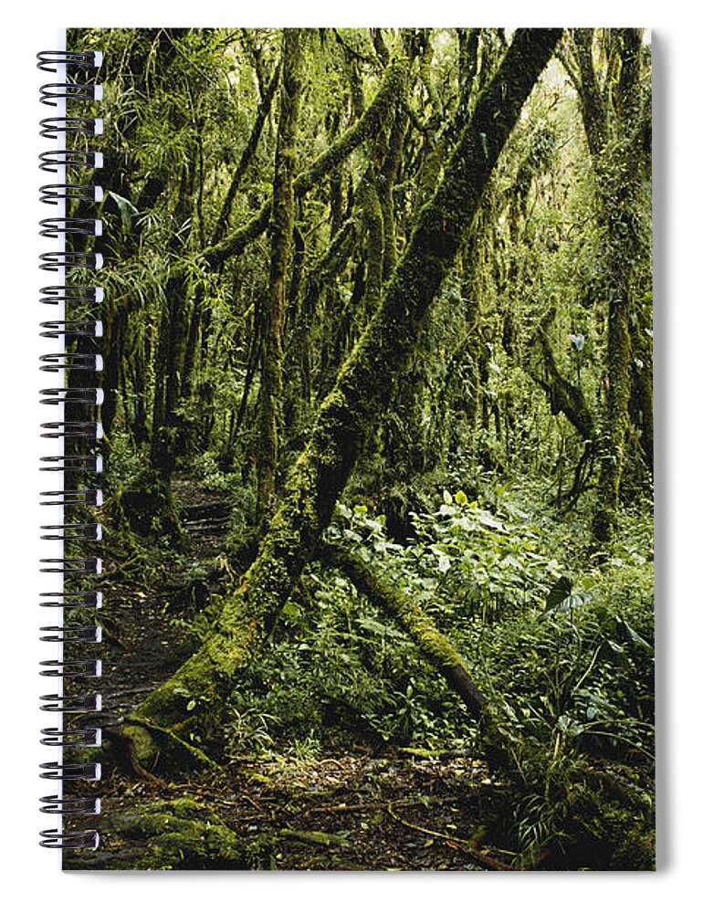 Cloud Forest Spiral Notebook featuring the photograph Cloud Forest, Costa Rica #3 by Gregory G. Dimijian, M.D.