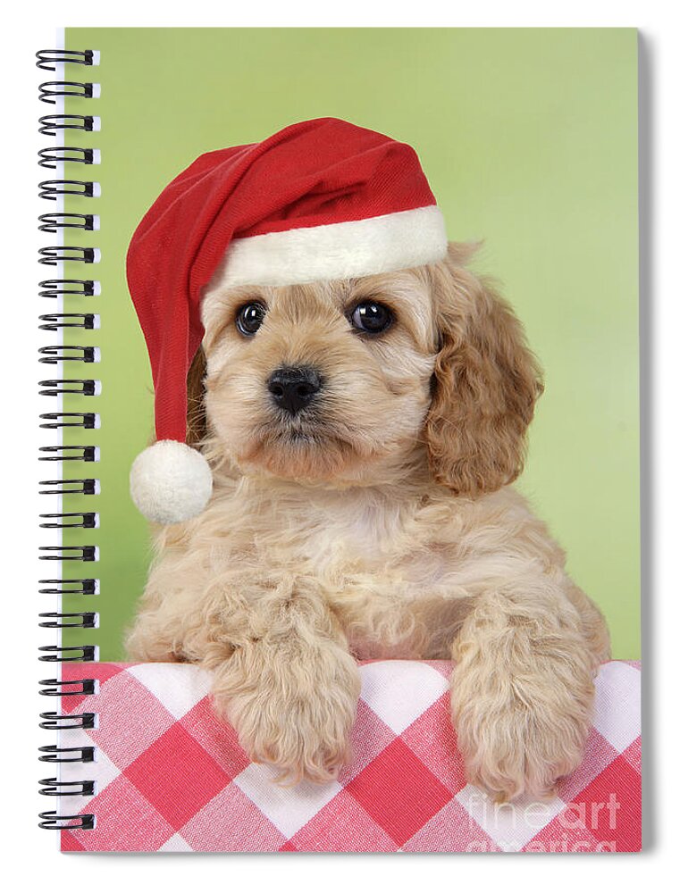Dog Spiral Notebook featuring the photograph Cockapoo Puppy Dog #3 by John Daniels