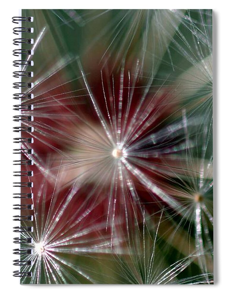 Abstract Spiral Notebook featuring the photograph Dandelion Seed Head #3 by Henrik Lehnerer