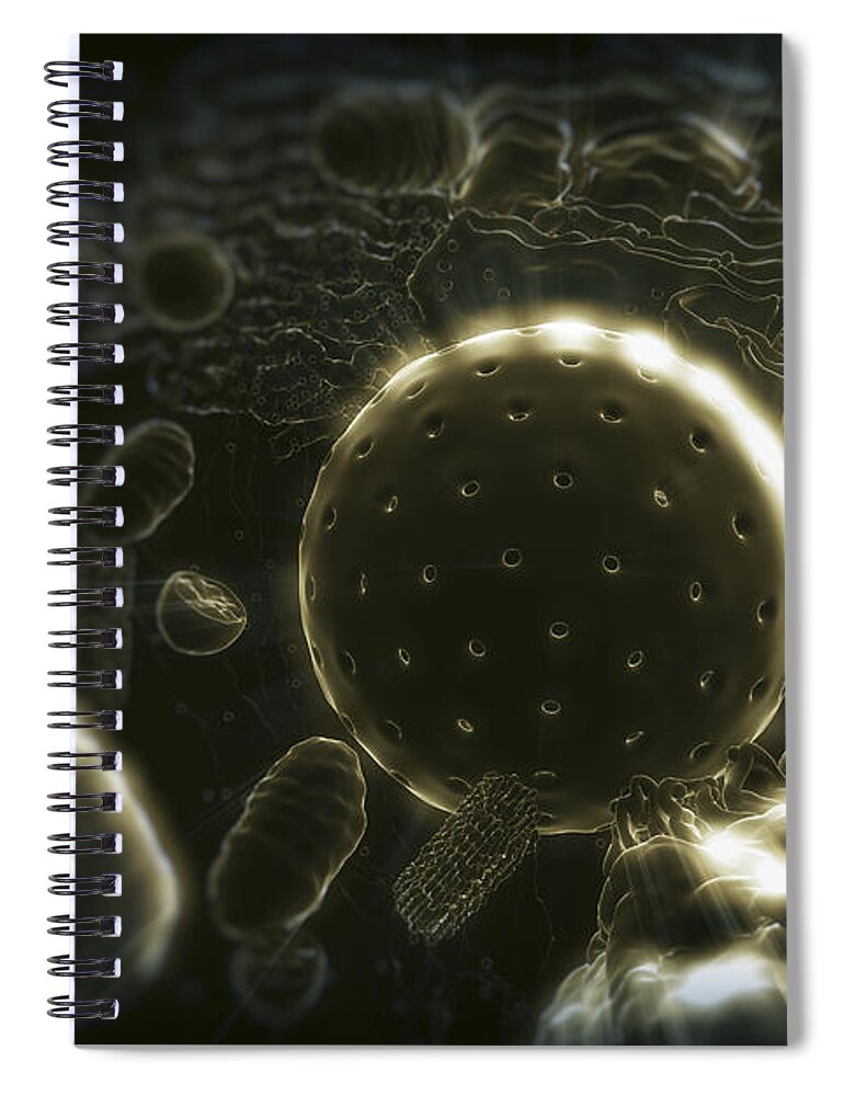 Cells Spiral Notebook featuring the photograph Inner Workings Of A Human Cell #3 by Science Picture Co