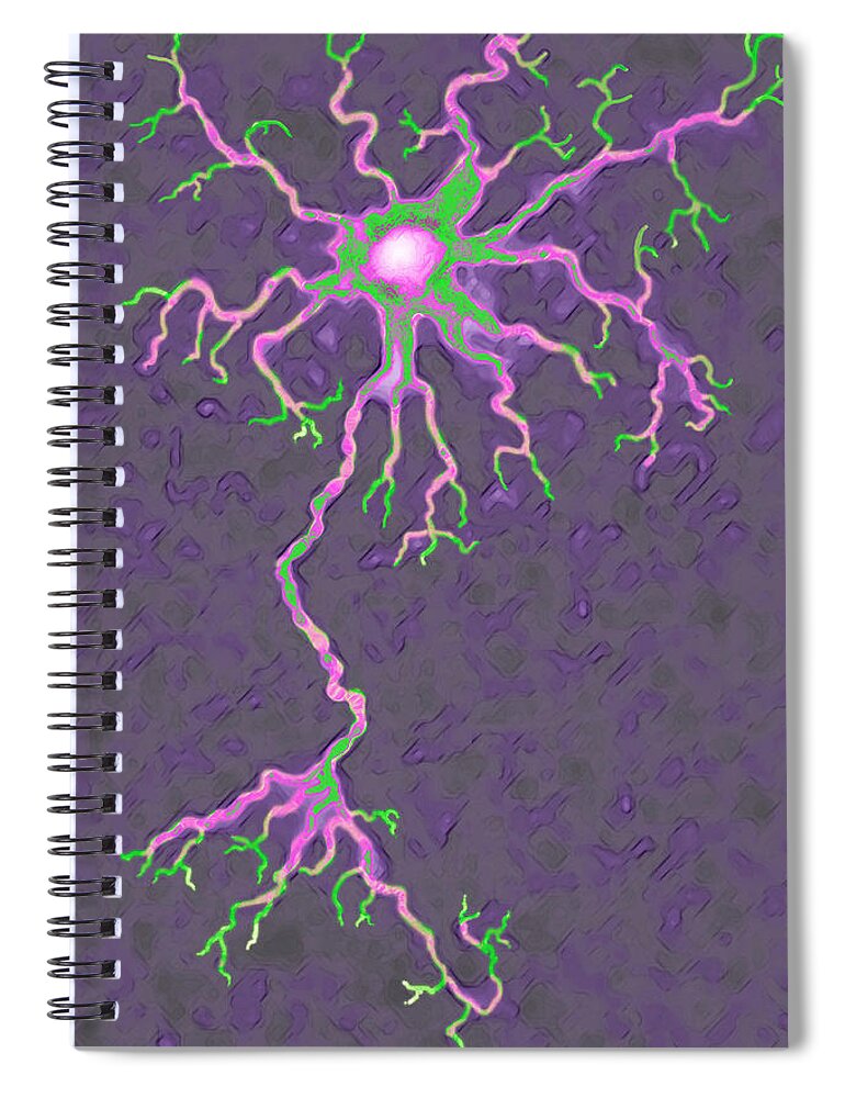 Neuron Spiral Notebook featuring the photograph Neuron #3 by James Cavallini