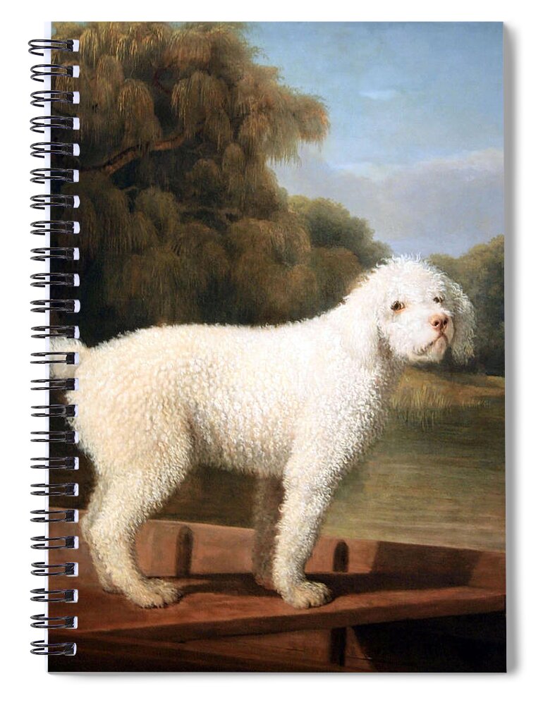 White Poodle In A Punt Spiral Notebook featuring the photograph Stubbs' White Poodle In A Punt by Cora Wandel