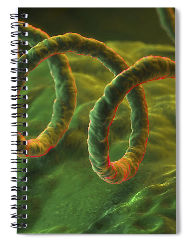 Cells Spiral Notebook featuring the photograph Syphilis #3 by Science Picture Co