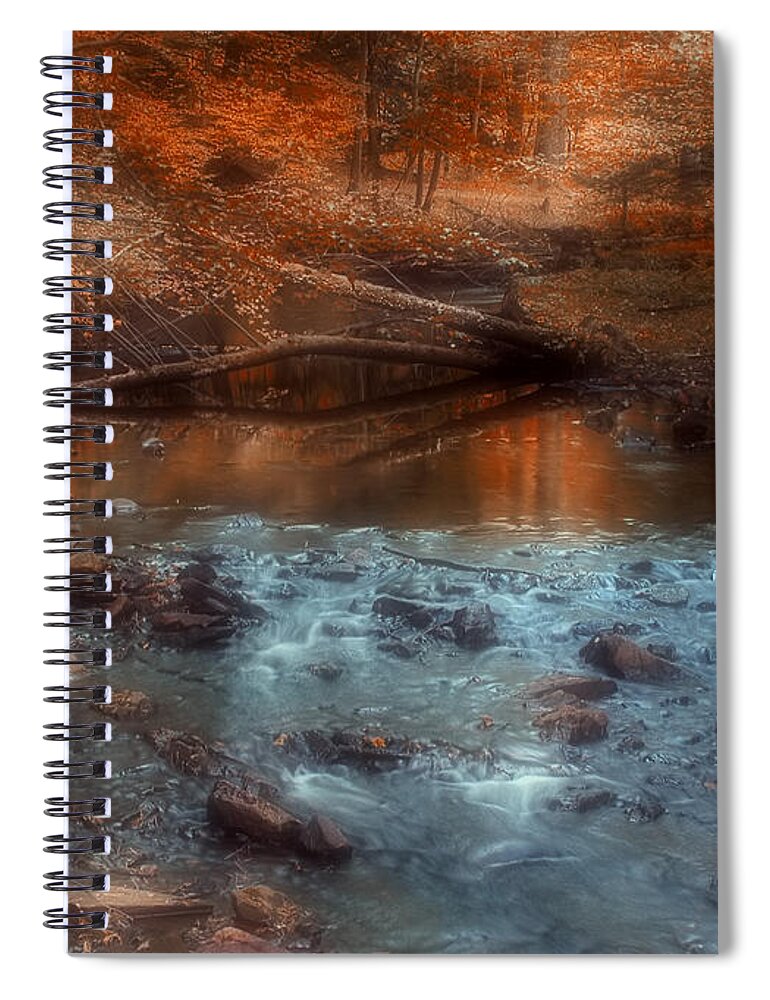 Autumn Spiral Notebook featuring the photograph Through the Woods #3 by Joann Vitali