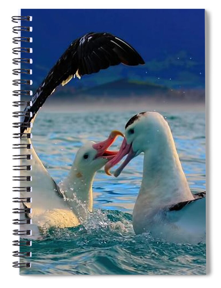 Wandering Albatross Spiral Notebook featuring the photograph Wandering Albatross #3 by Amanda Stadther