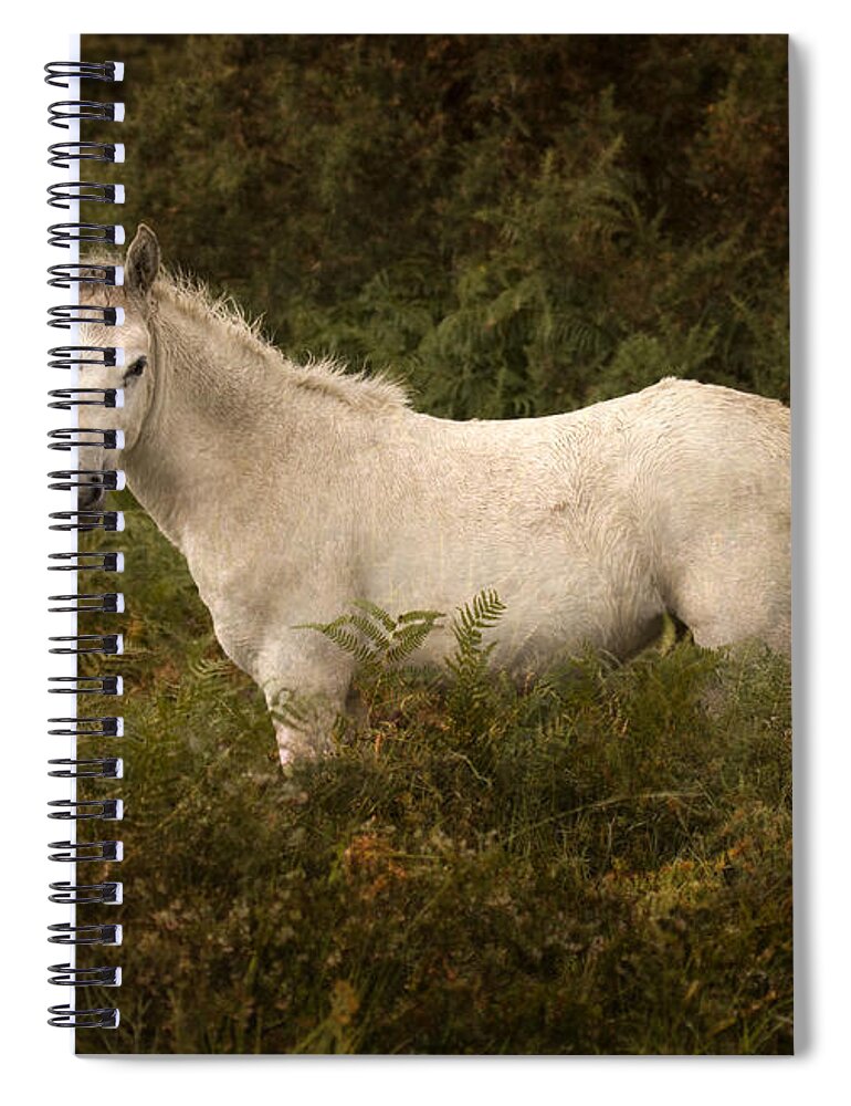 Pony Spiral Notebook featuring the photograph New Forest #4 by Ang El