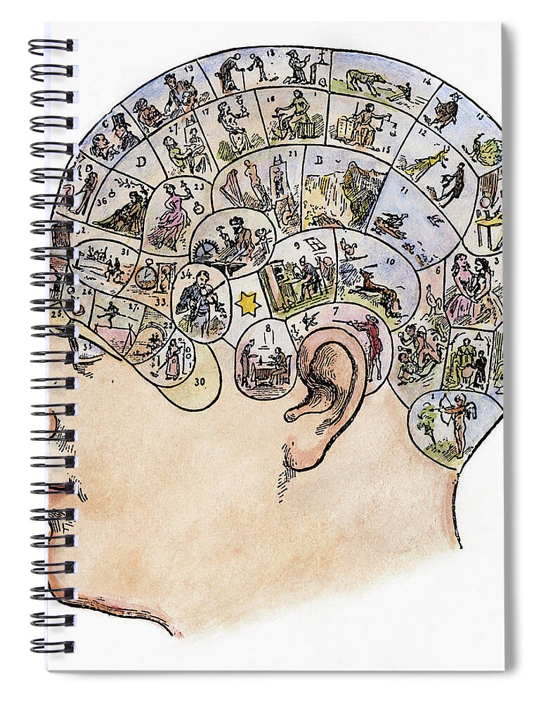19th Century Spiral Notebook featuring the painting Phrenology, 19th Century #4 by Granger