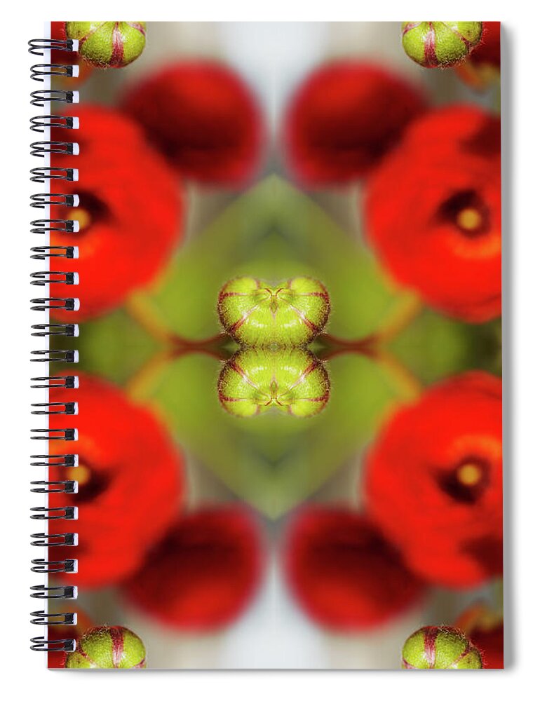 Tranquility Spiral Notebook featuring the photograph Red Ranunculus #4 by Silvia Otte