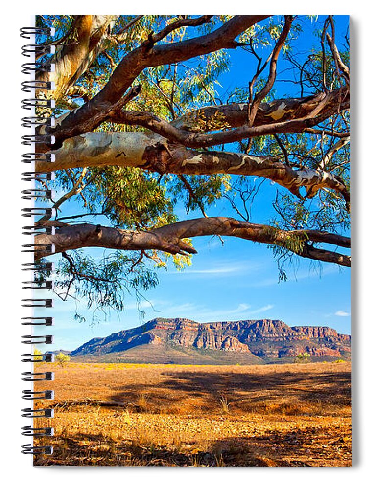 Wilpena Pound Flinders Ranges South Australia Outback Landscape Spiral Notebook featuring the photograph Wilpena Pound by Bill Robinson